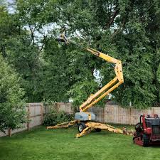 Trusted Burgin, KY Tree Removal and Landscaping Services Experts